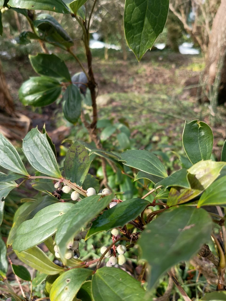 photo_2026-01-28 09.10.40