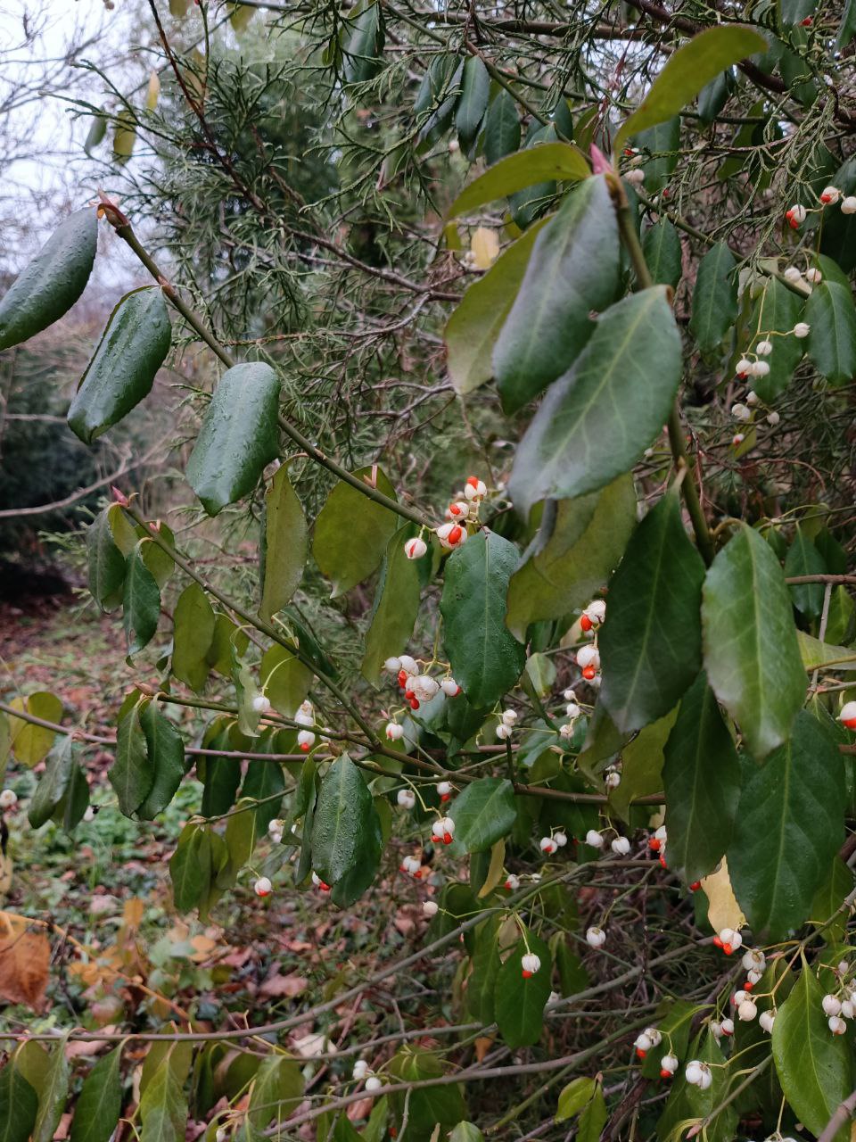 photo_2026-01-28 09.10.49