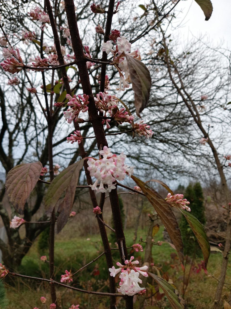 photo_2026-01-28 09.10.51