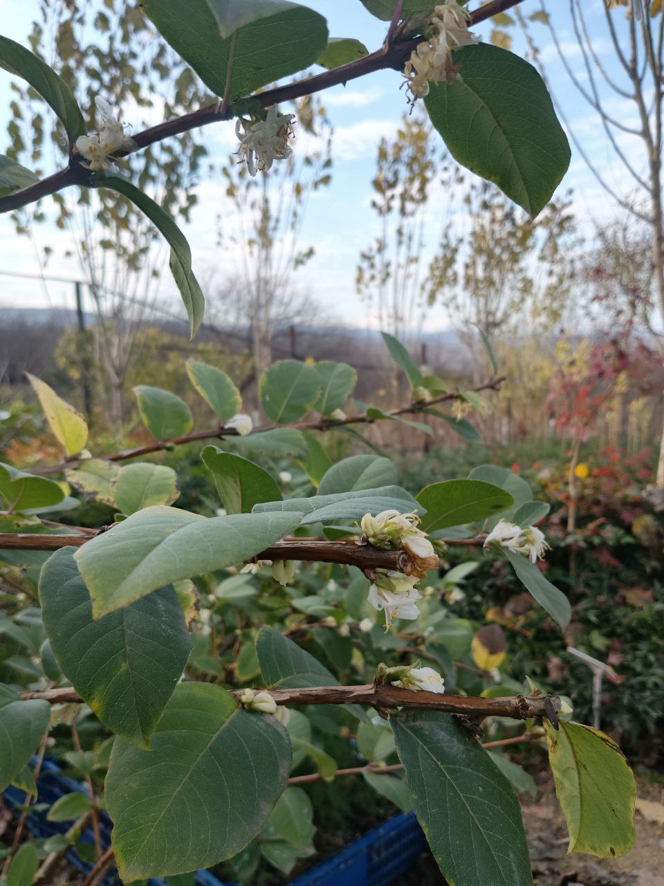 photo_2026-01-28 09.10.52