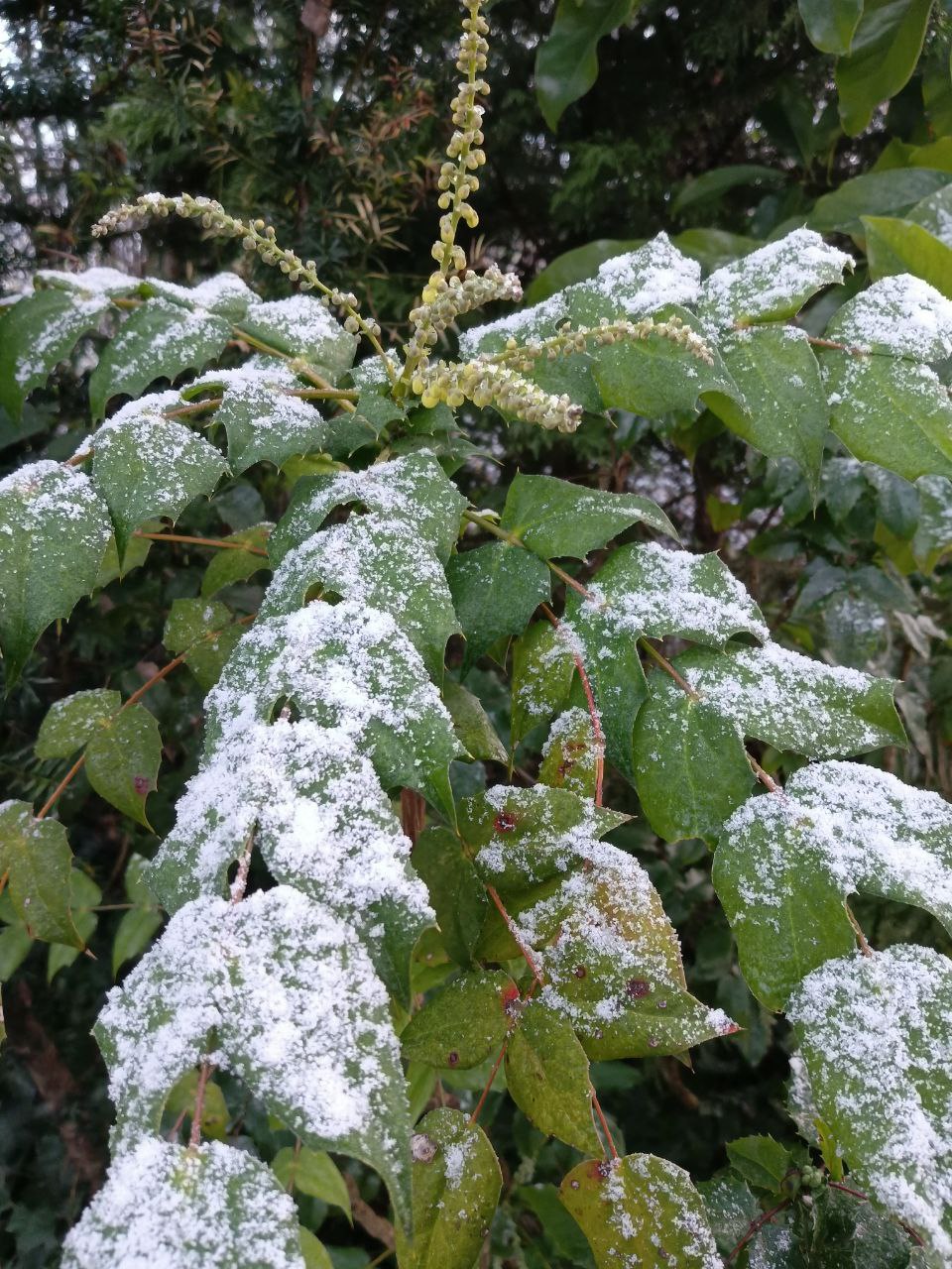 photo_2026-01-28 09.10.54