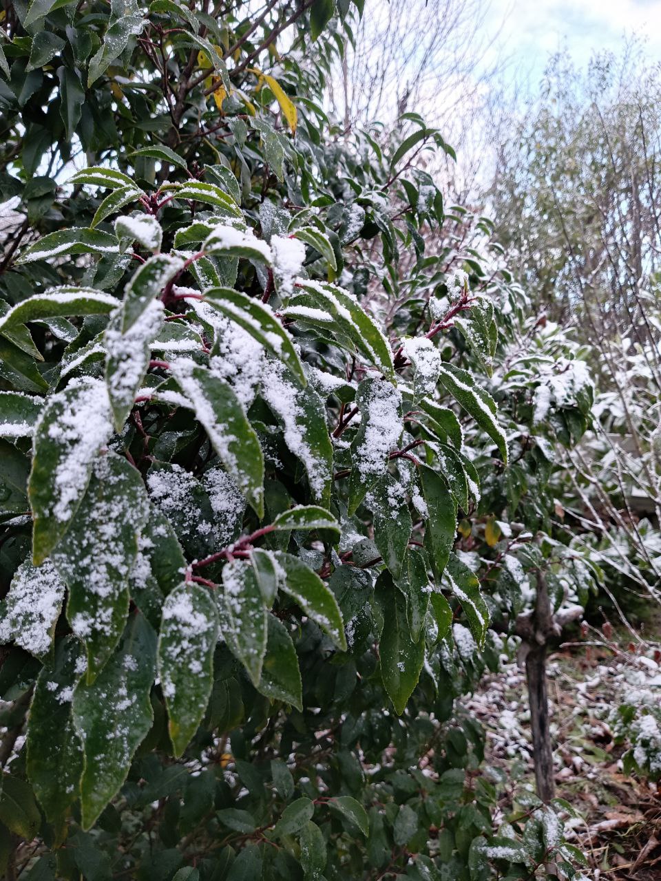 photo_2026-01-28 09.11.01