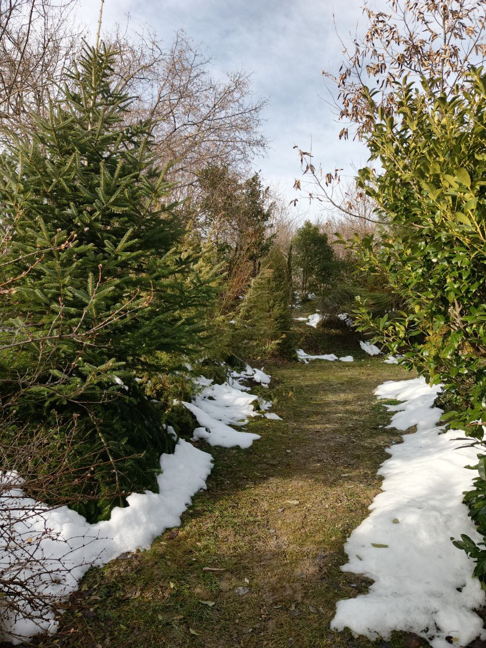 photo_2026-01-28 09.11.04