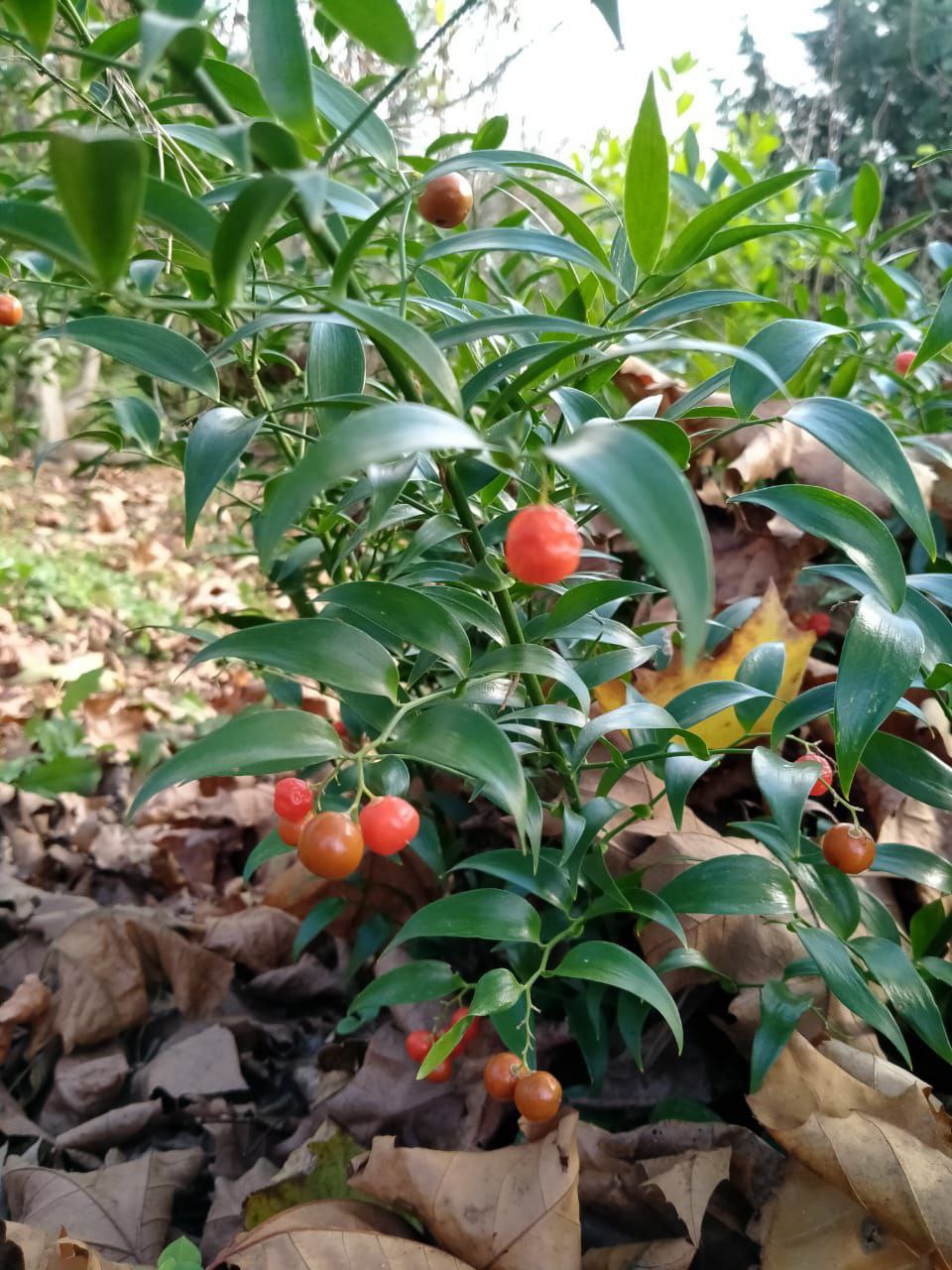 photo_2026-01-28 09.11.06