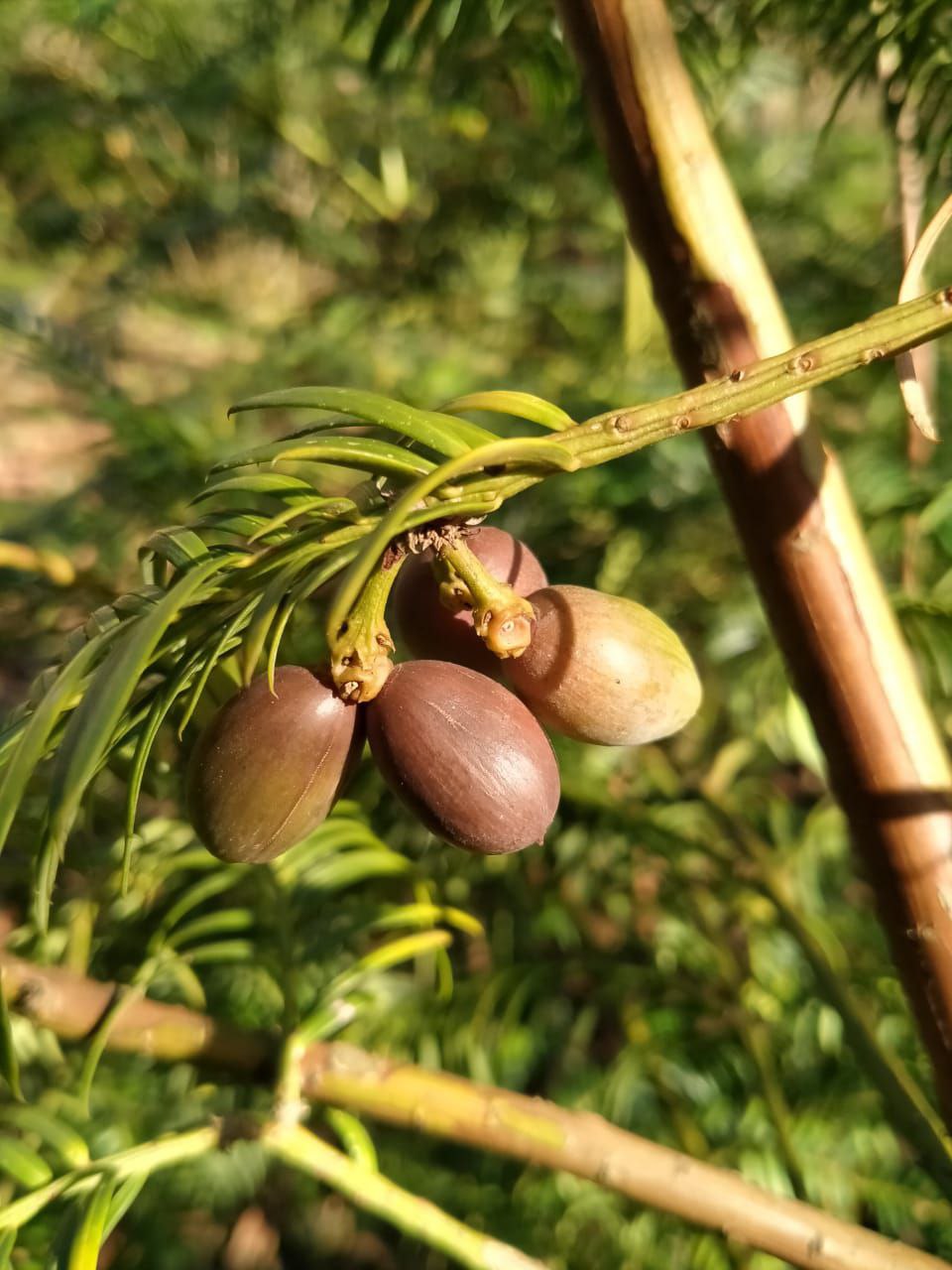 photo_2026-01-28 09.11.07