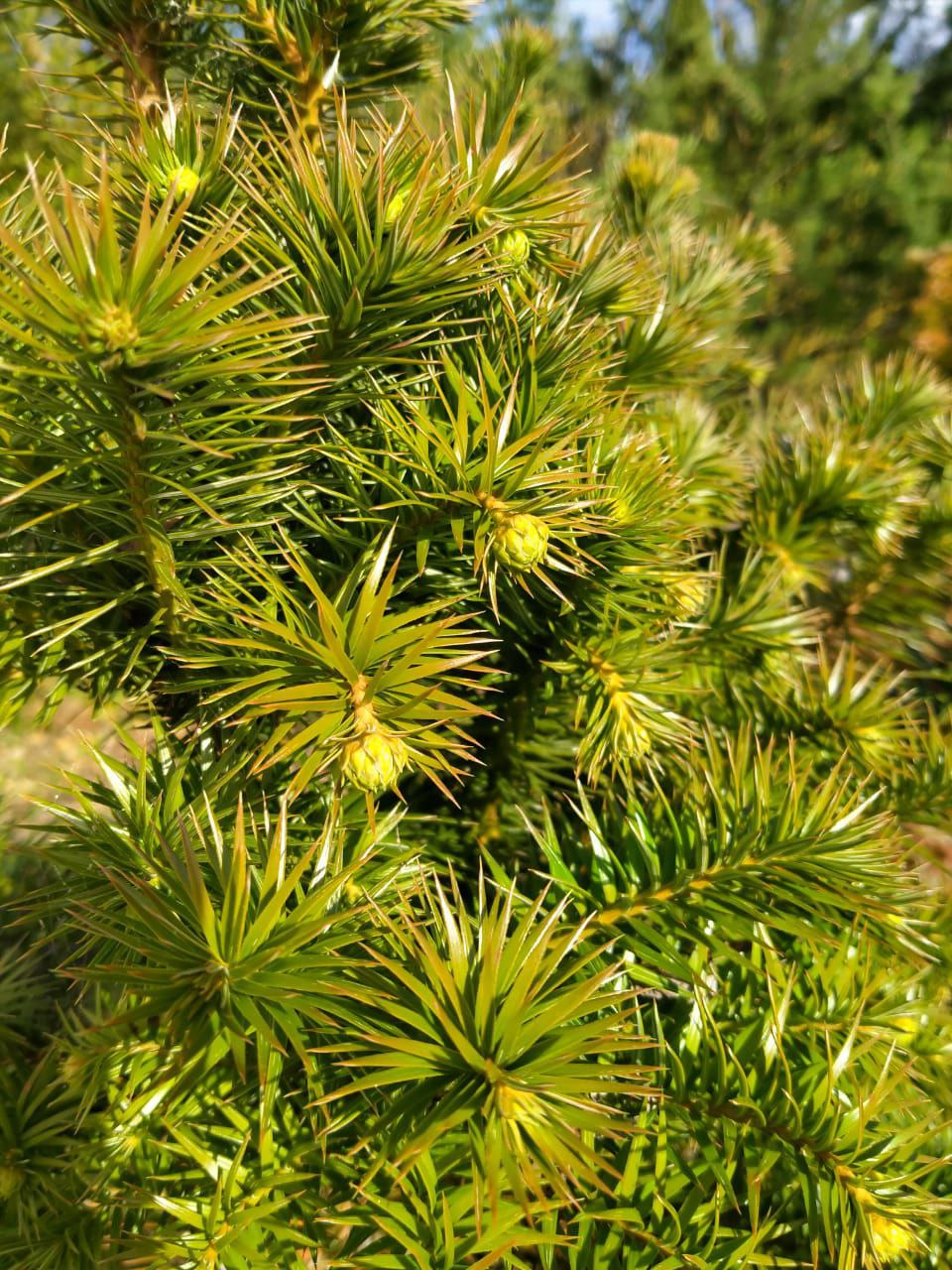 photo_2026-01-28 09.11.09