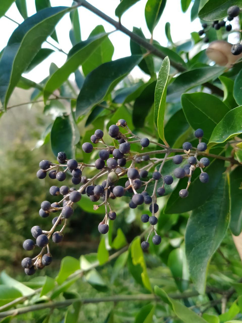 photo_2026-01-28 09.11.11