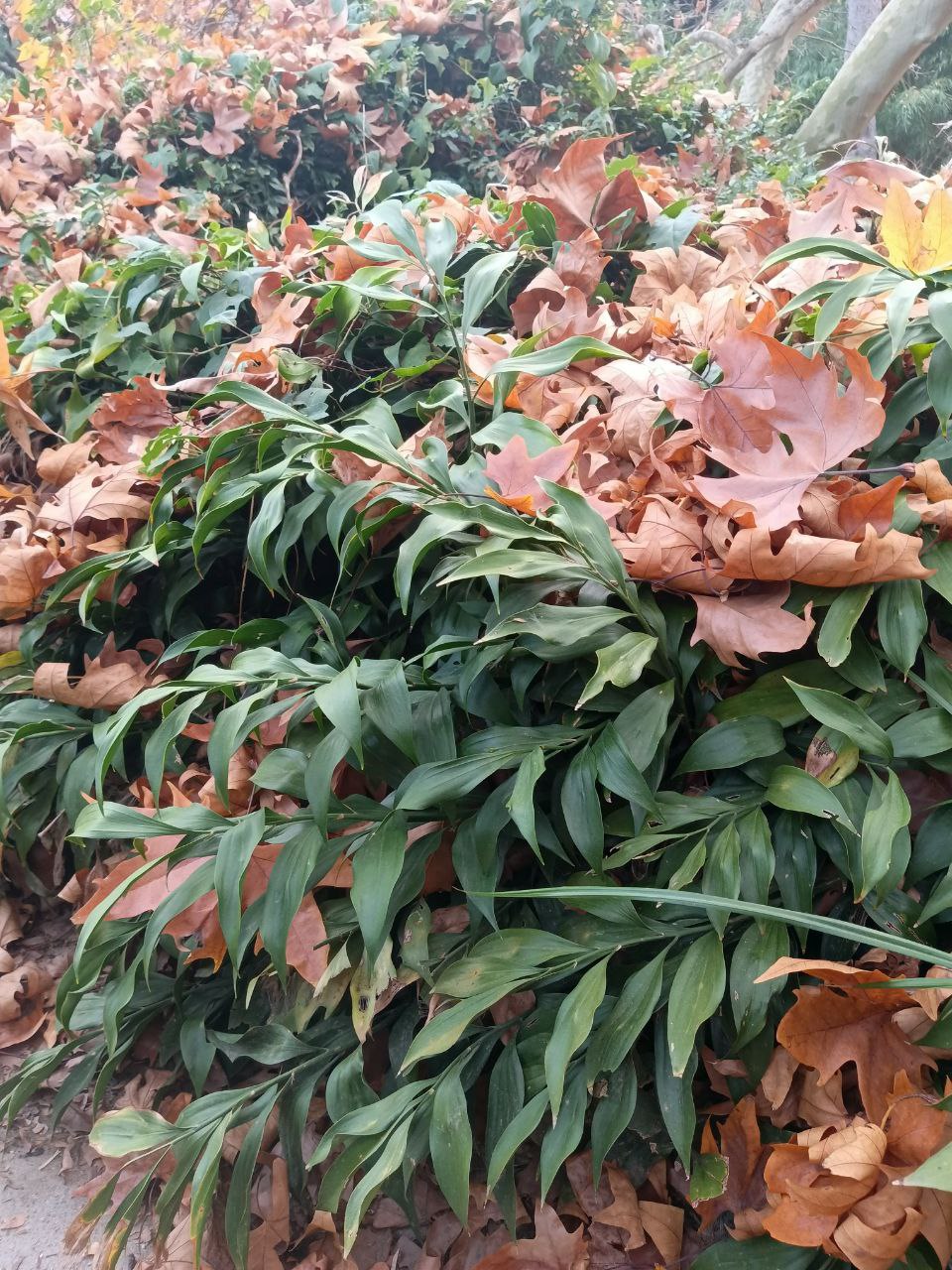 photo_2026-01-28 09.11.12