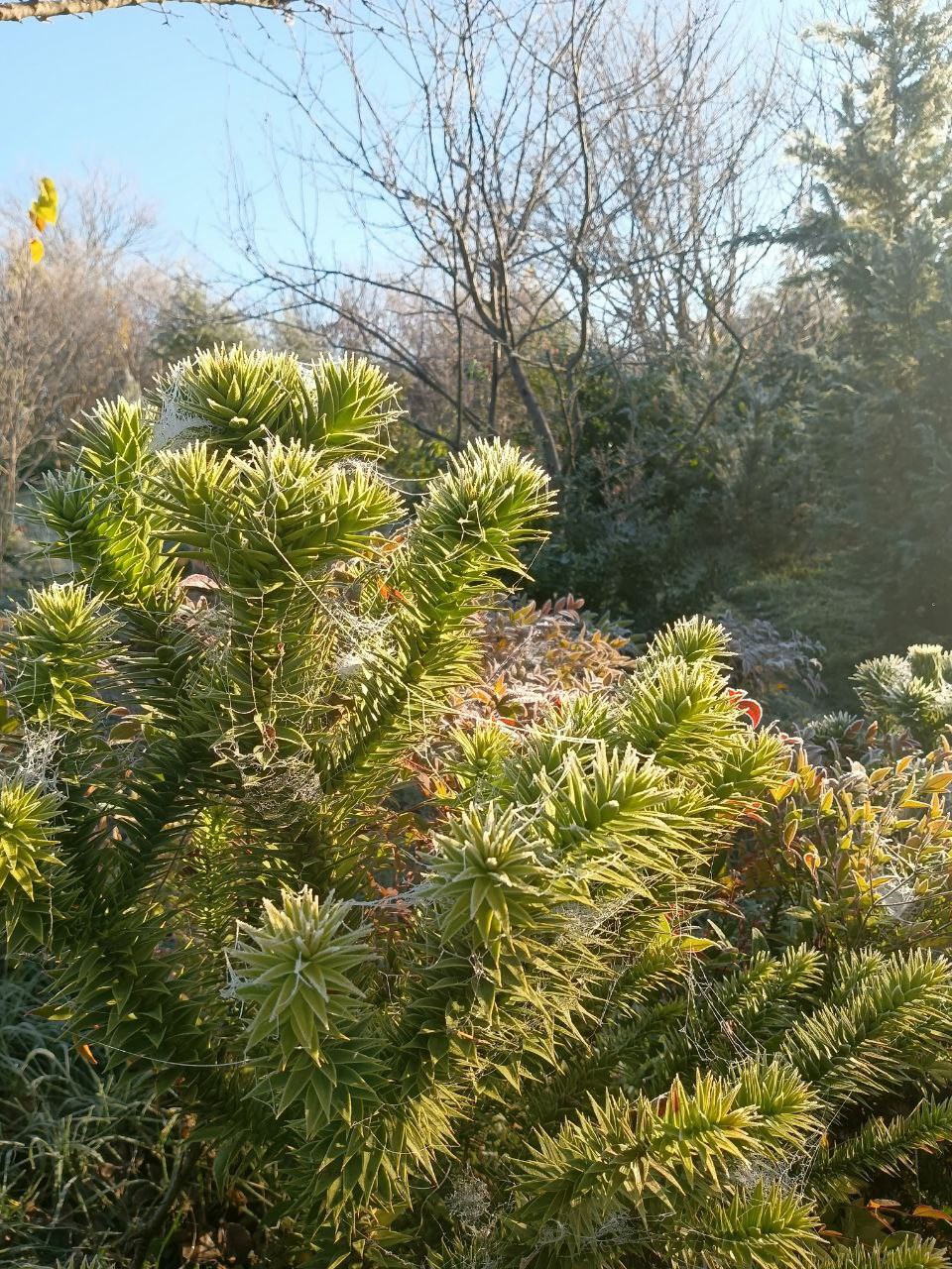 photo_2026-01-28 09.11.17