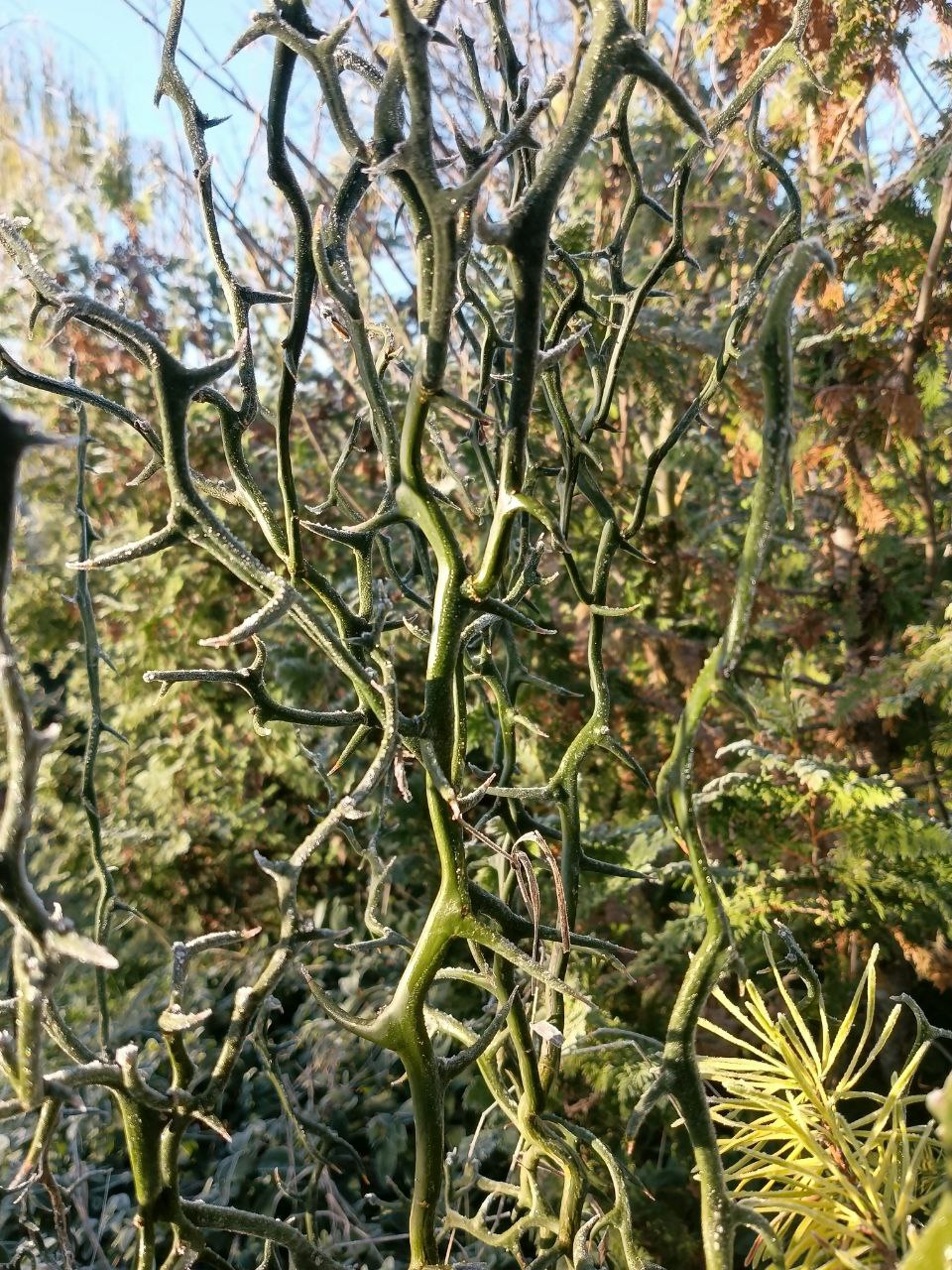 photo_2026-01-28 09.11.20