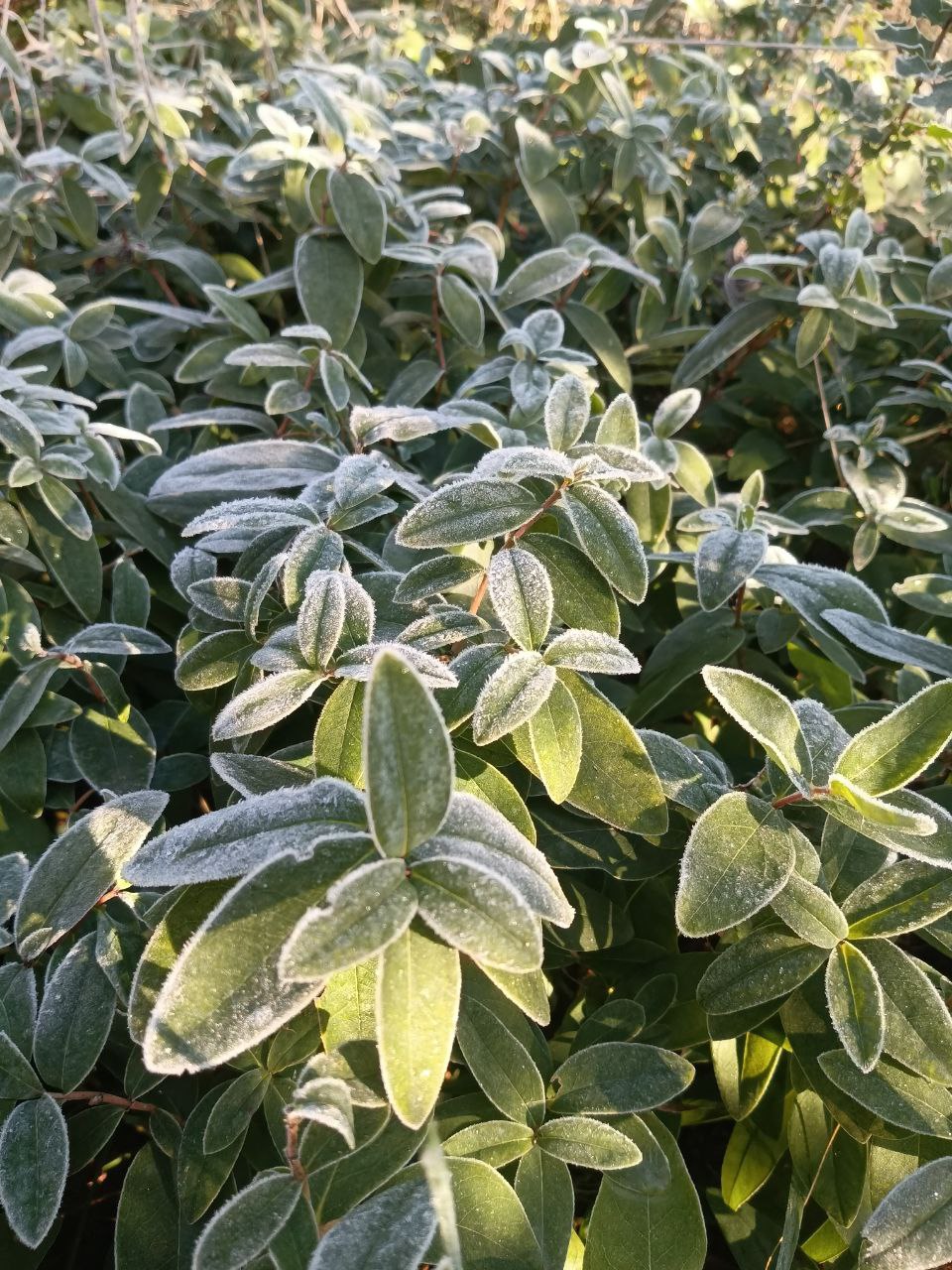 photo_2026-01-28 09.11.22