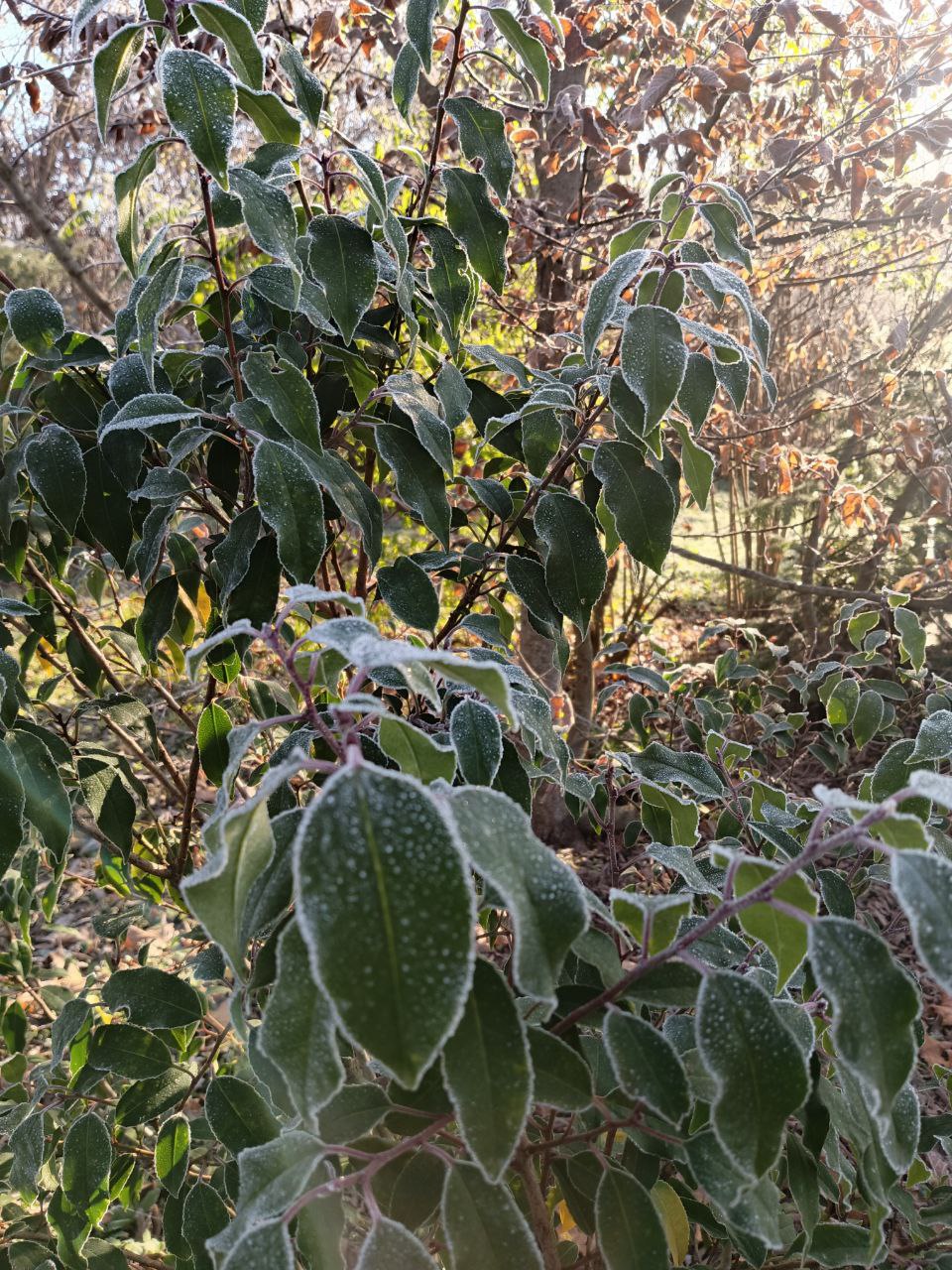 photo_2026-01-28 09.11.23