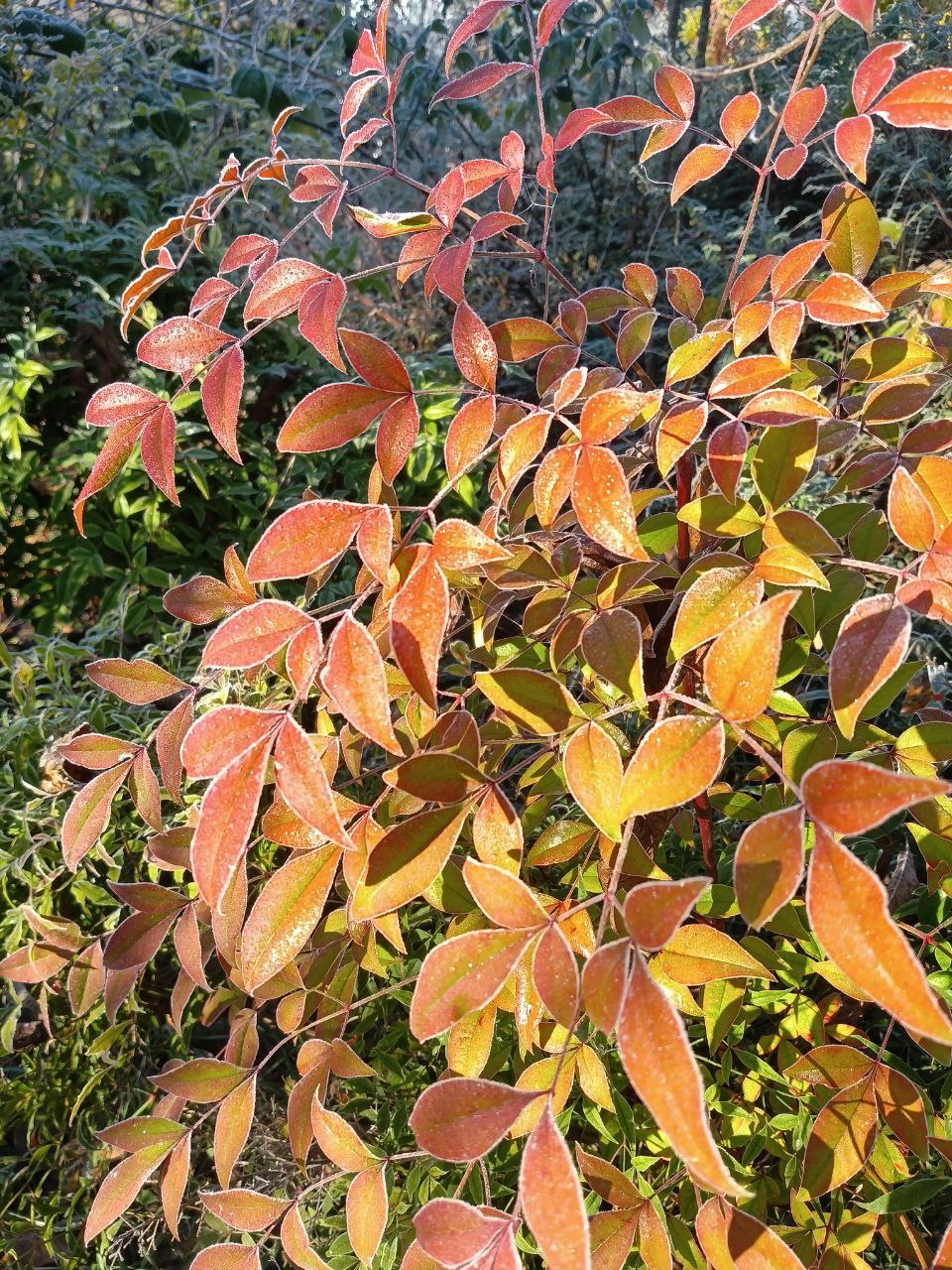 photo_2026-01-28 09.11.25