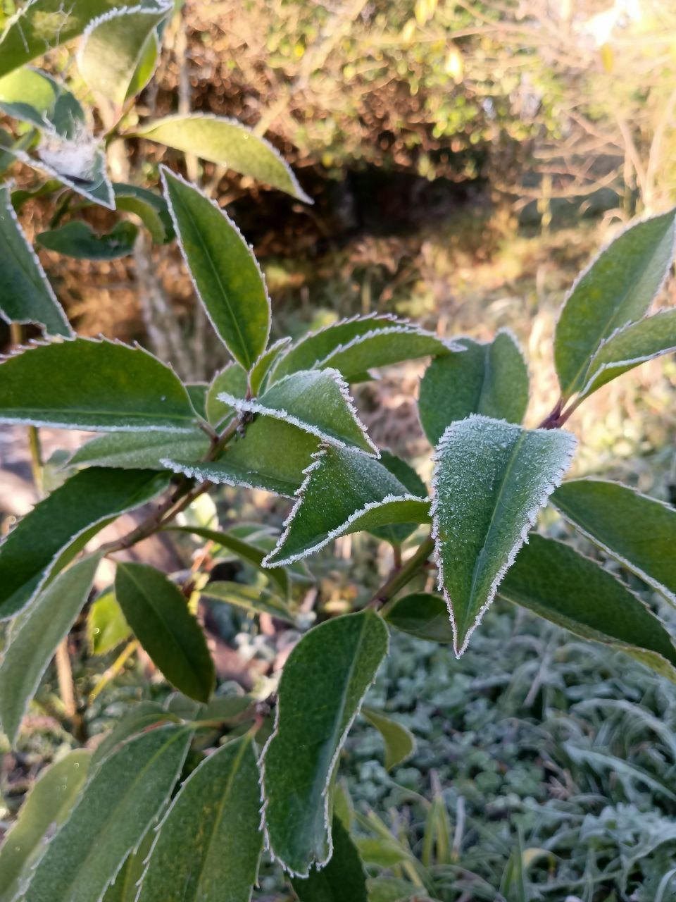 photo_2026-01-28 09.11.27