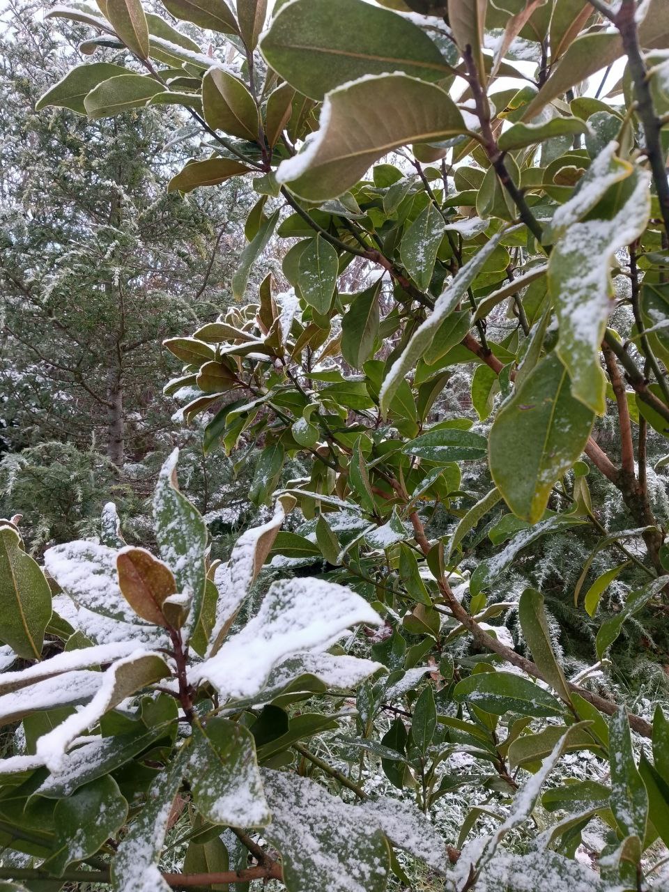 photo_2026-01-28 09.11.32