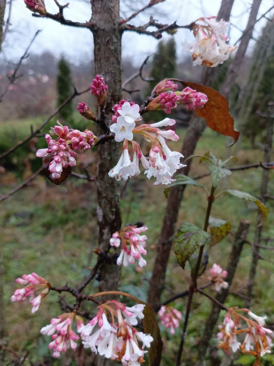 photo_2026-01-28 09.11.33