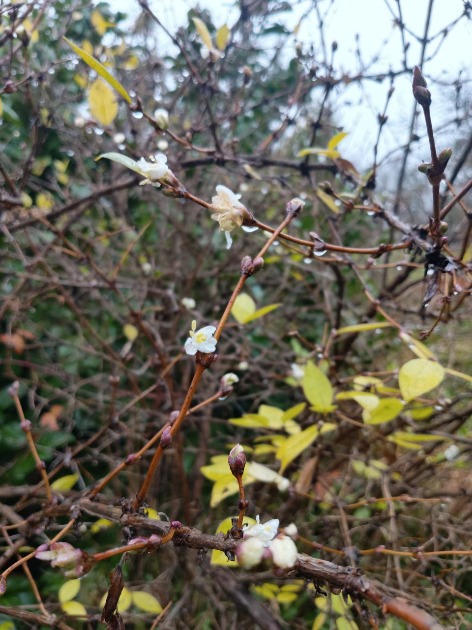 photo_2026-01-28 09.11.35