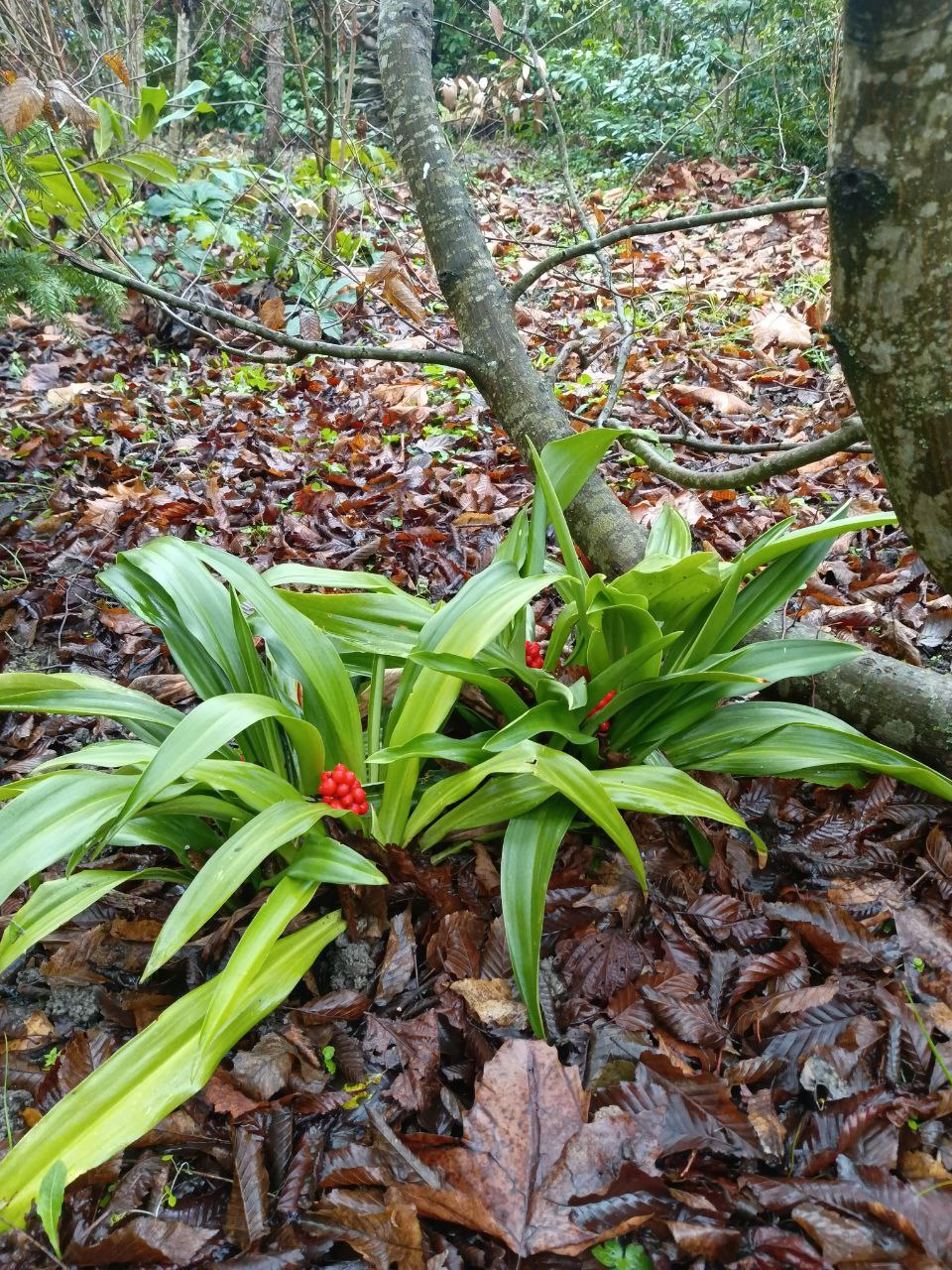 photo_2026-01-28 09.11.37