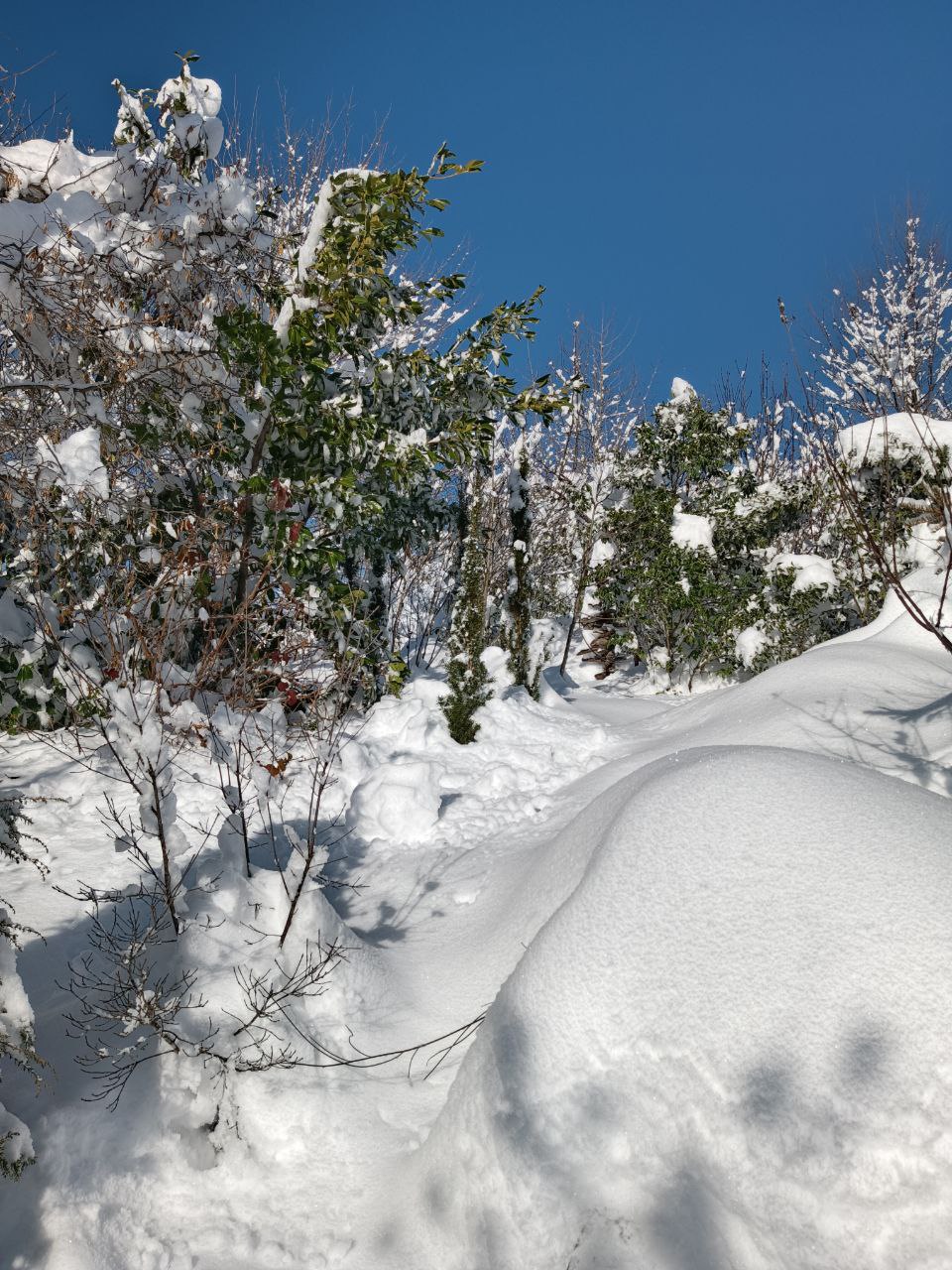 photo_2026-01-28 09.11.38