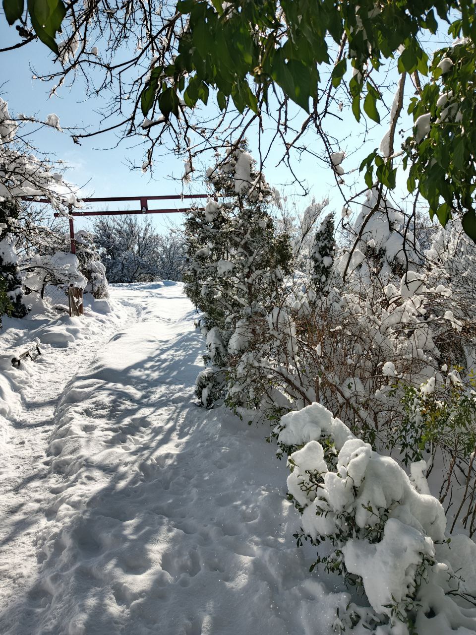 photo_2026-01-28 09.11.40