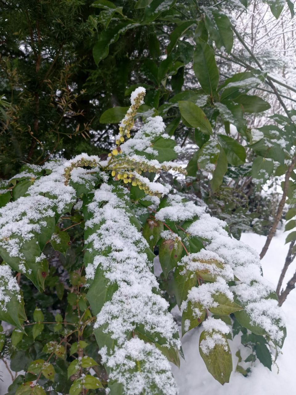 photo_2026-01-28 09.11.43