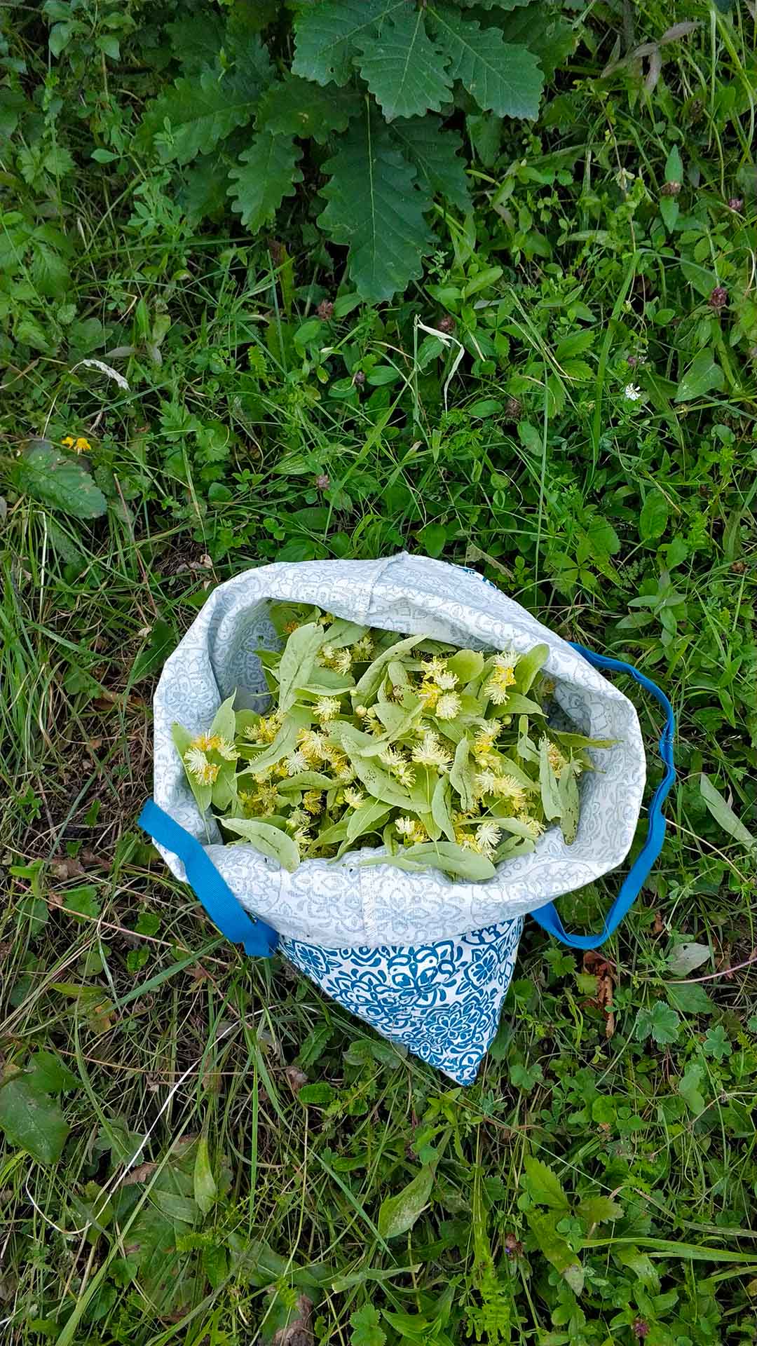 IMG_20210711_1838511