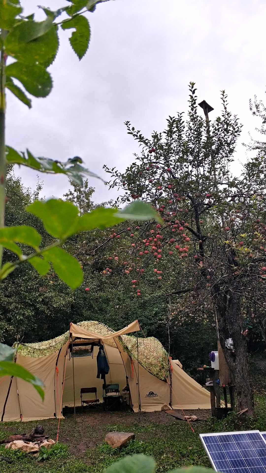 IMG_20210911_1743121