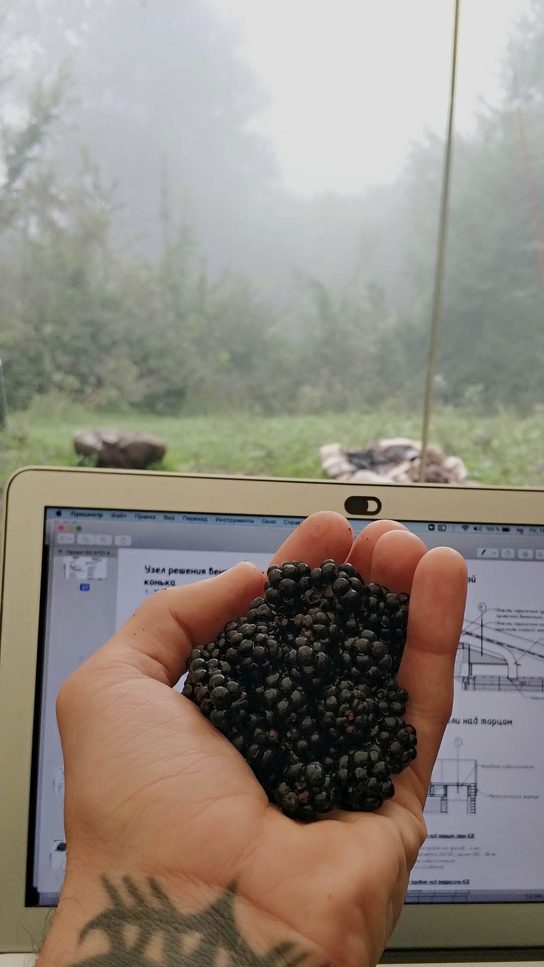 IMG_20210917_1015041