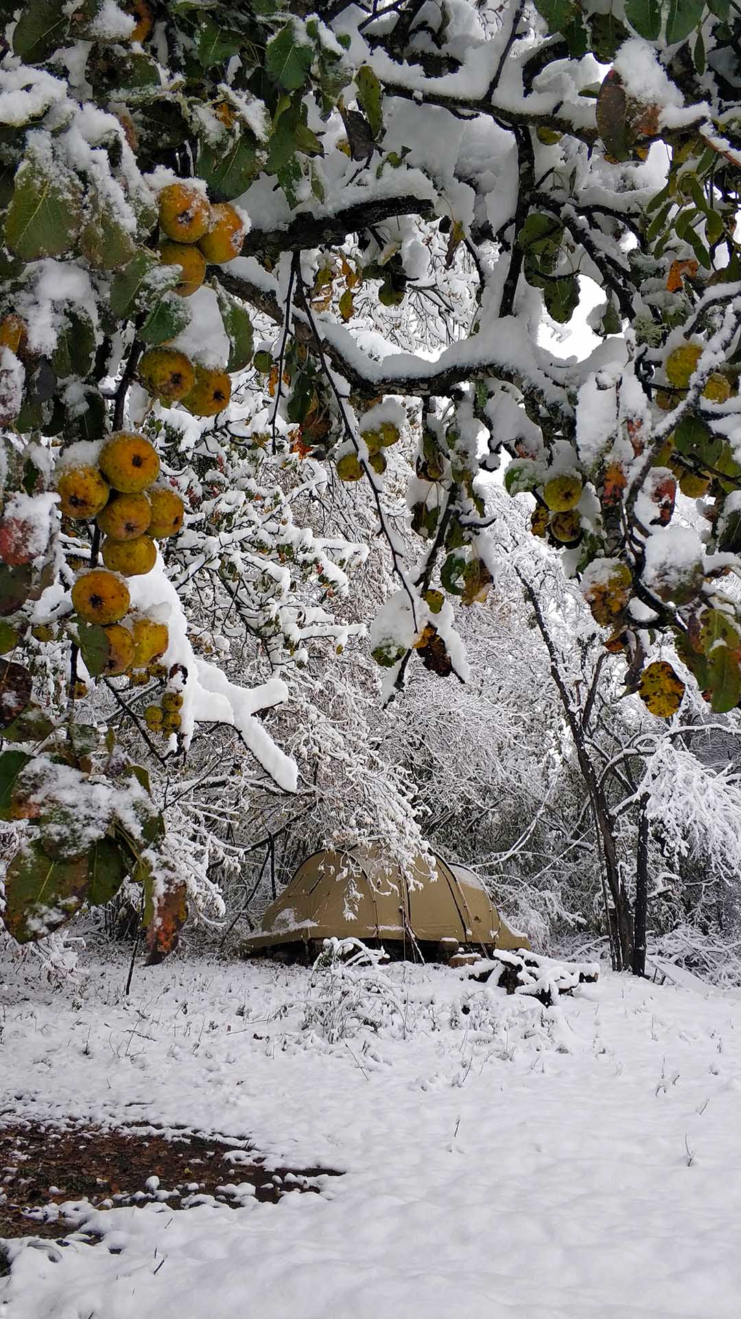 IMG_20211025_0821231