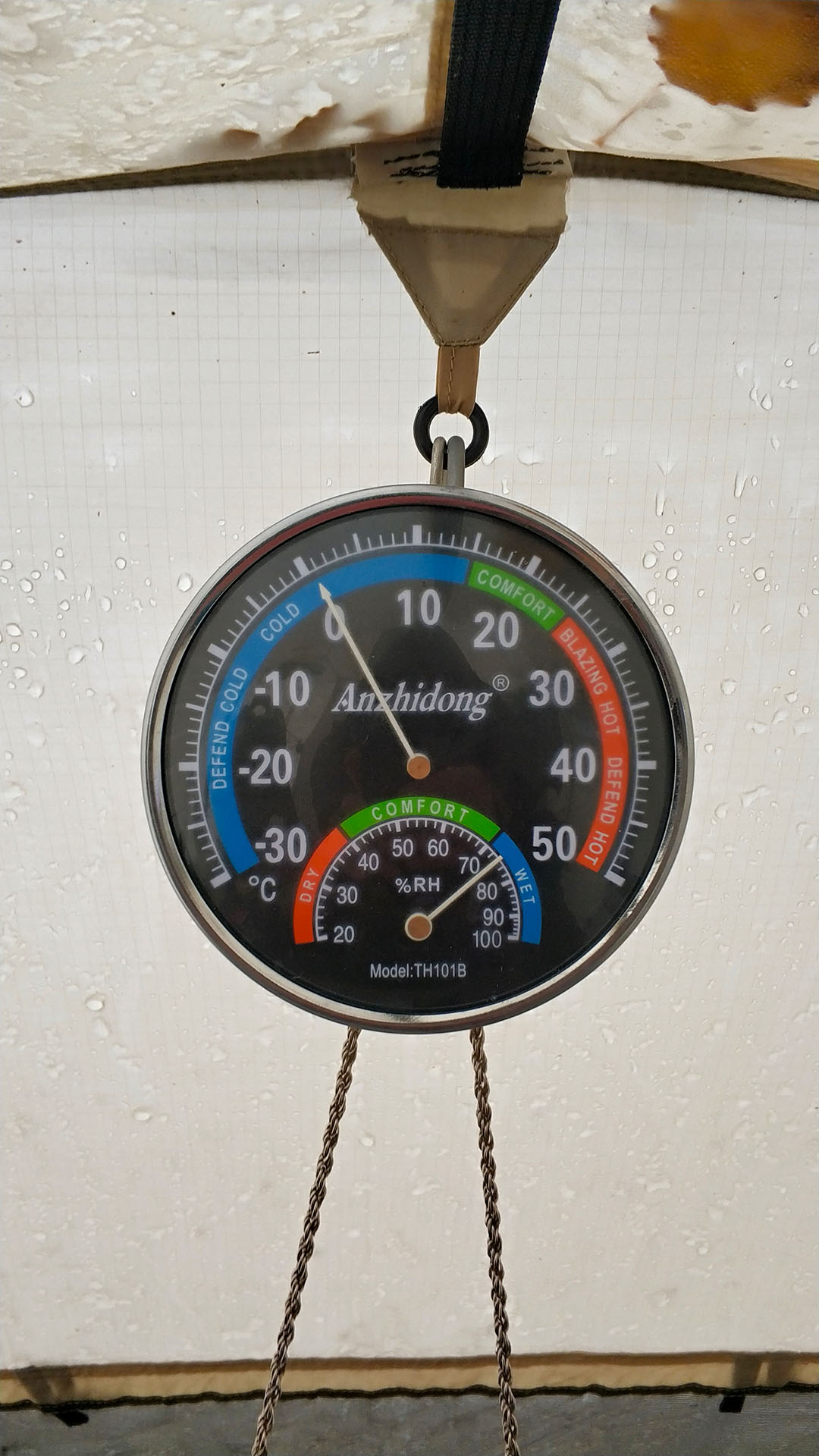 IMG_20211025_0836311