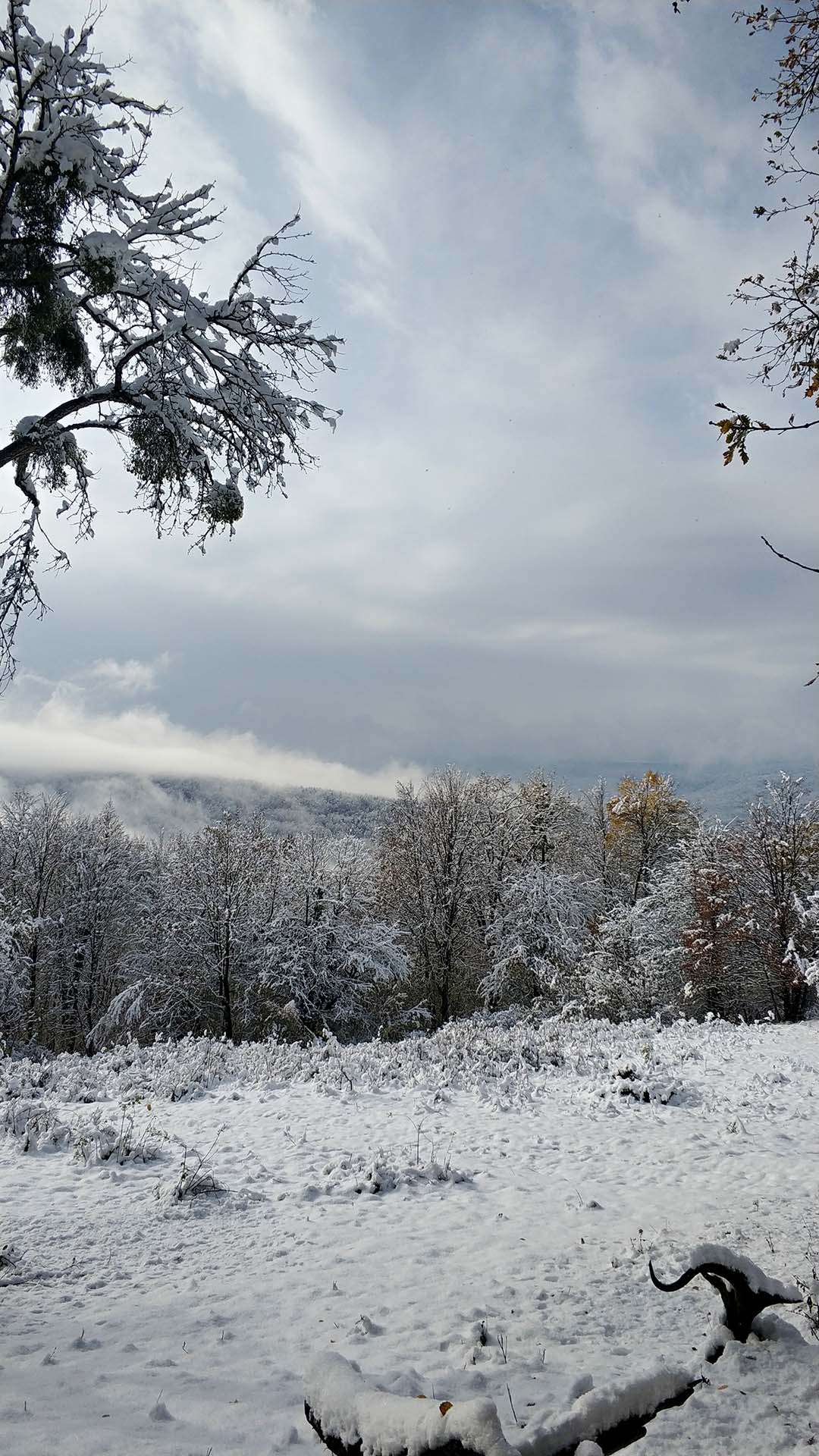 IMG_20211025_1002281