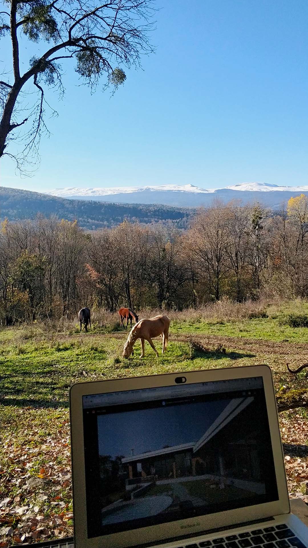 IMG_20211029_0854561