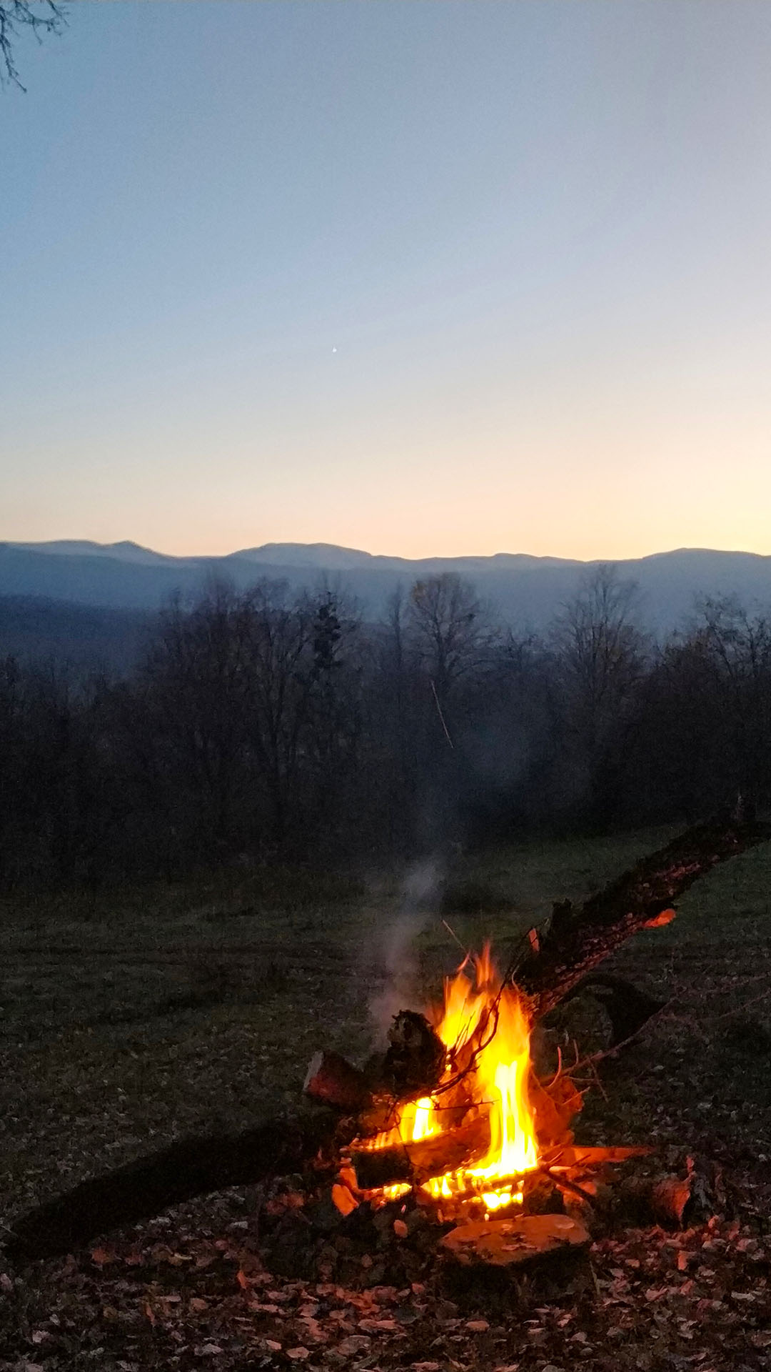 IMG_20211030_1735041