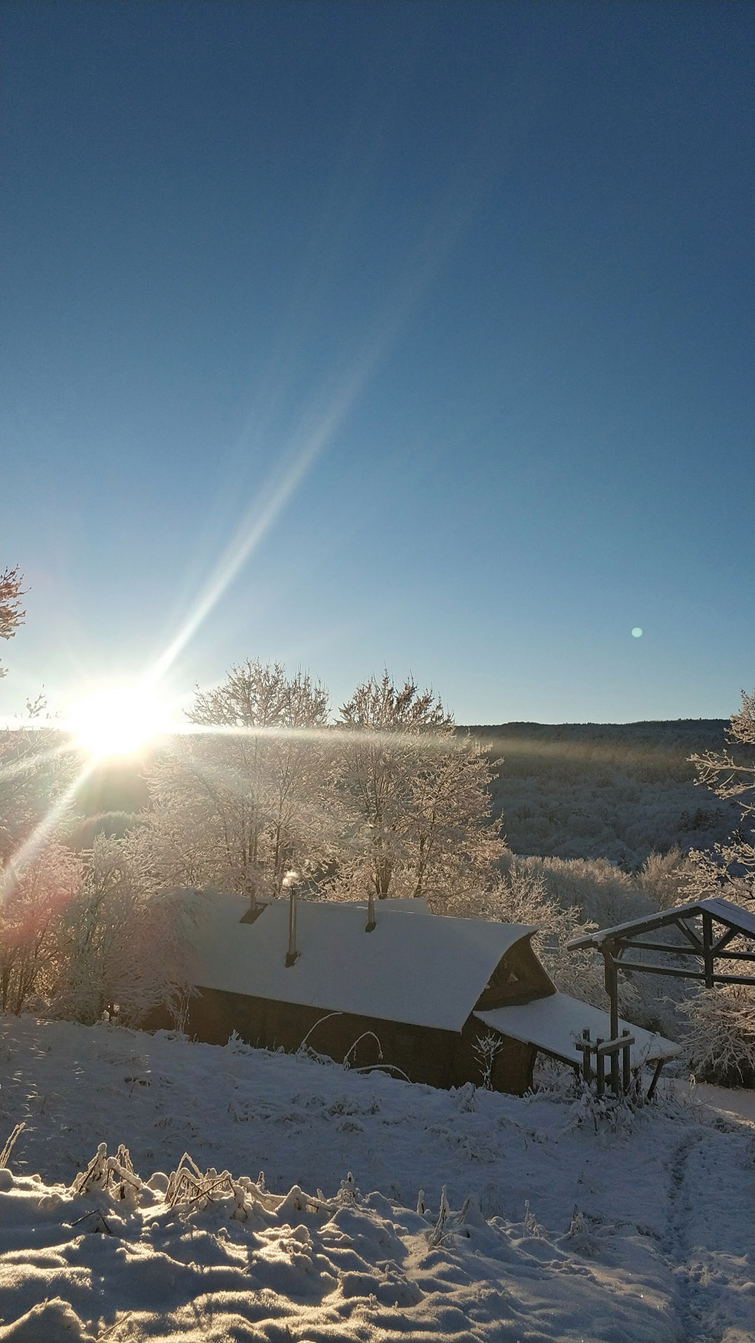 IMG_20211125_0800281