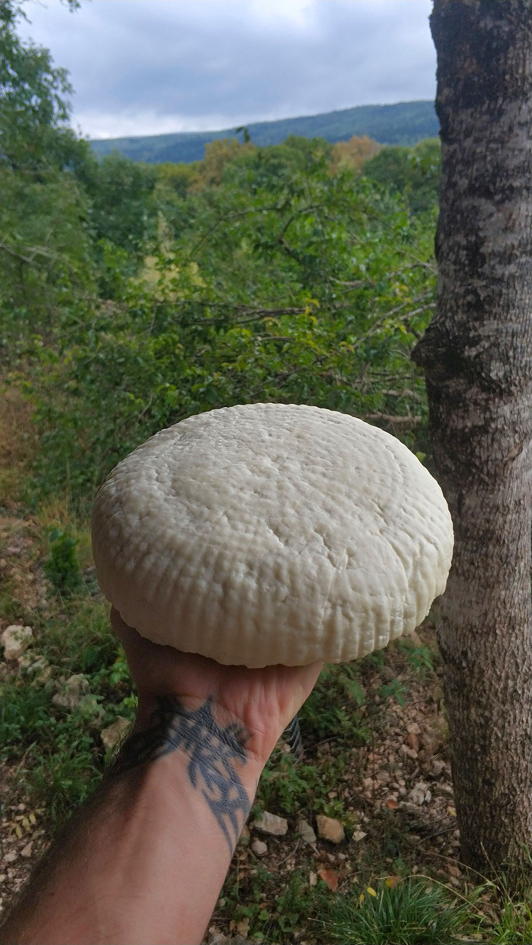 IMG_20220920_1254361