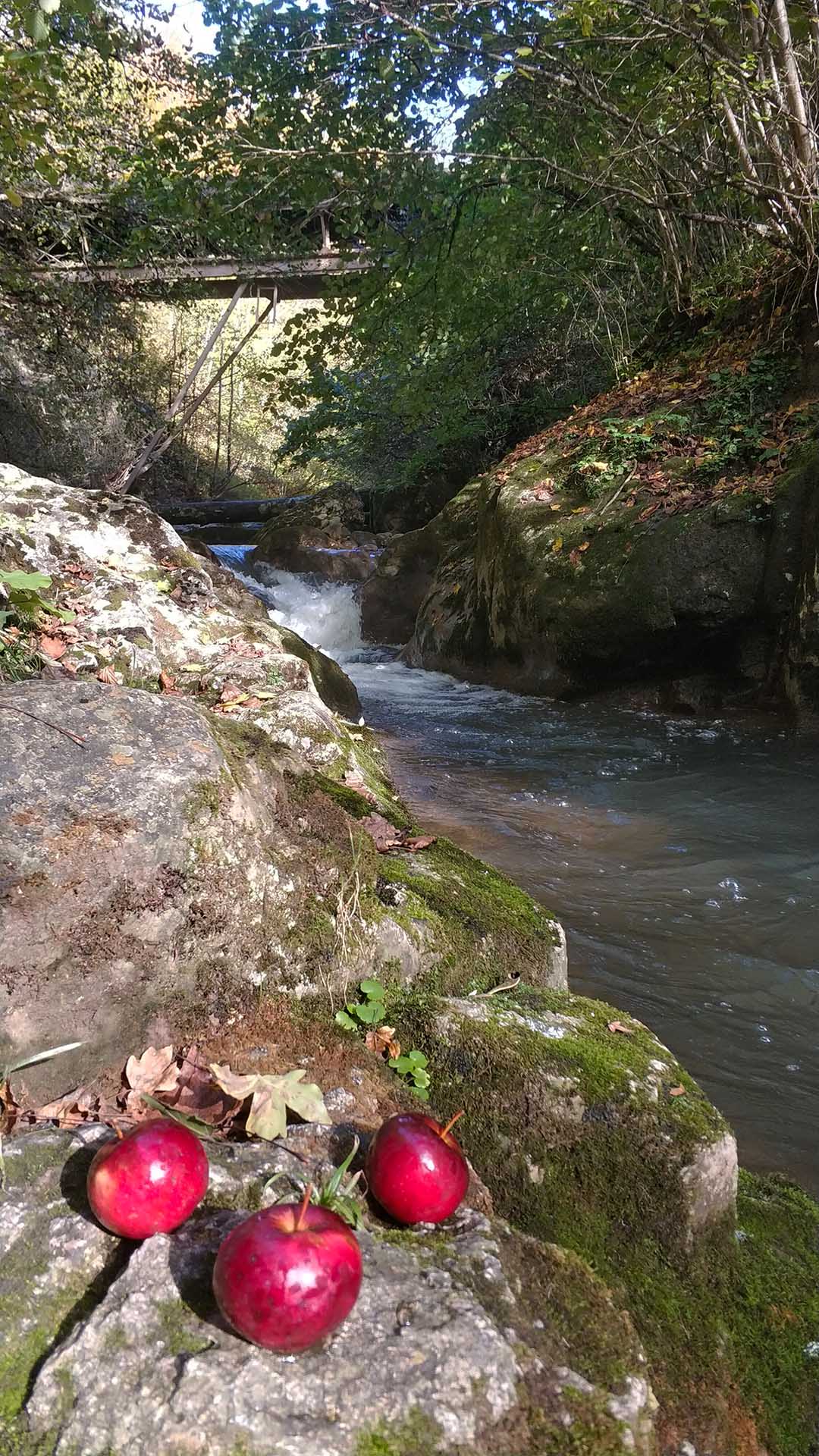 IMG_20221012_1442471