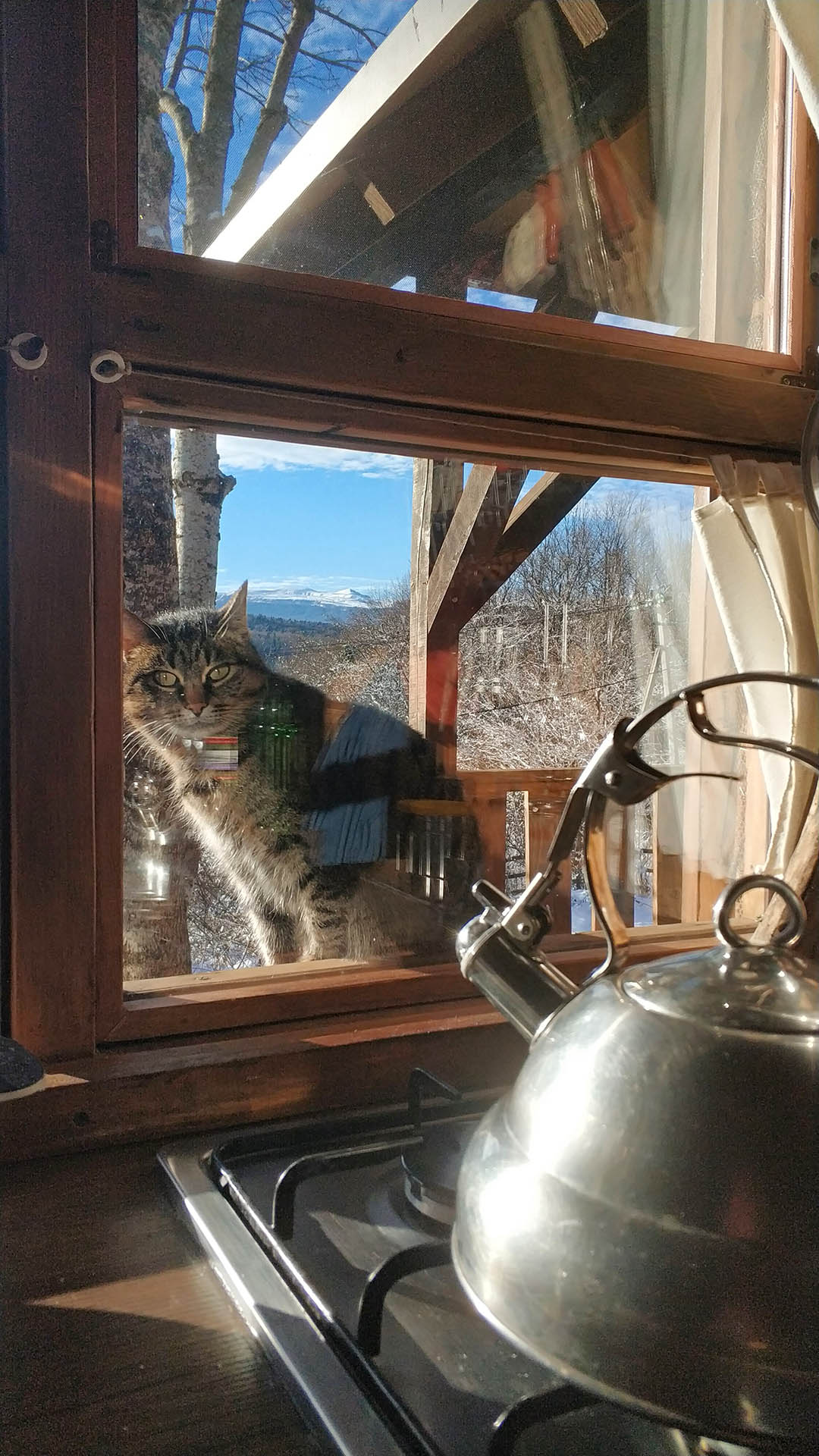 IMG_20221230_0941131