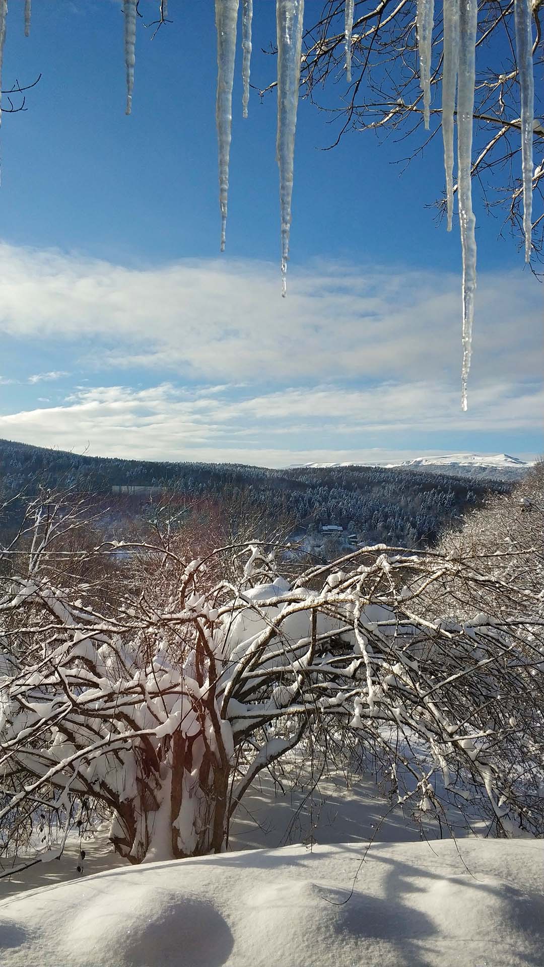 IMG_20230216_0852151